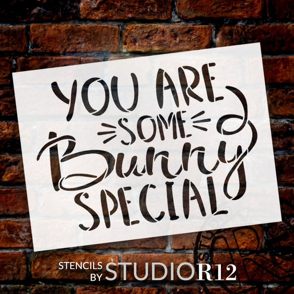 You are Some Bunny Special Stencil by StudioR12 | Fun Easter Word Art | DIY Farmhouse Home Decor | Paint Wood Signs | Select Size | STCL5613